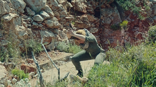 FPBR118.jpg
