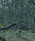 FPBR724.jpg