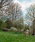 FPBR0857.jpg