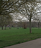 FPBR1183.jpg