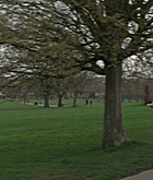 FPBR1184.jpg